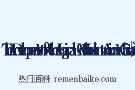 The+Development+of+the+Logical+Method+in+Ancient+China造句是什么意思的图片